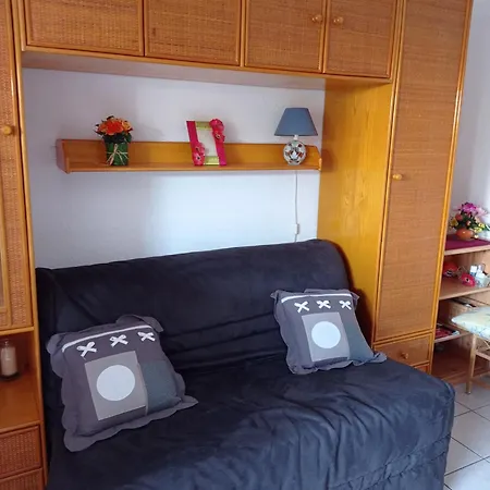 Rez De Jardin Pinede Proximite Quartier Naturiste Apartment